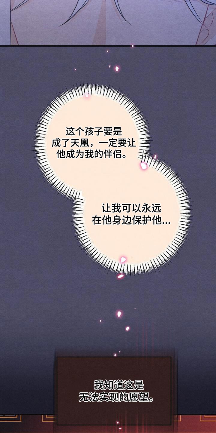 第75章：礼物13