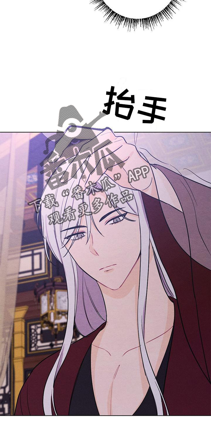 第19章：命令15