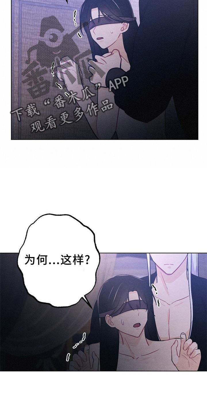 第41章：喜欢13