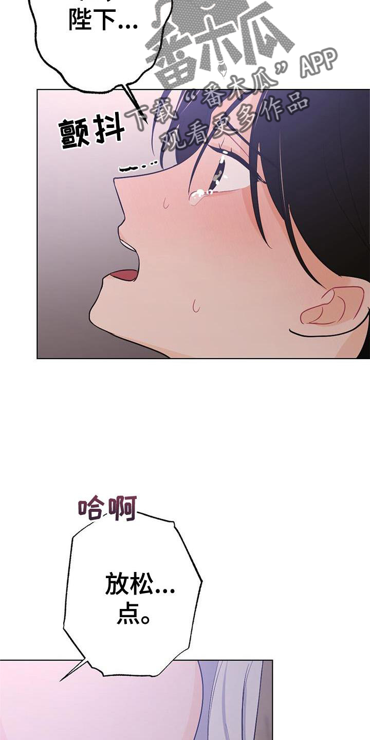第21章：熟悉15