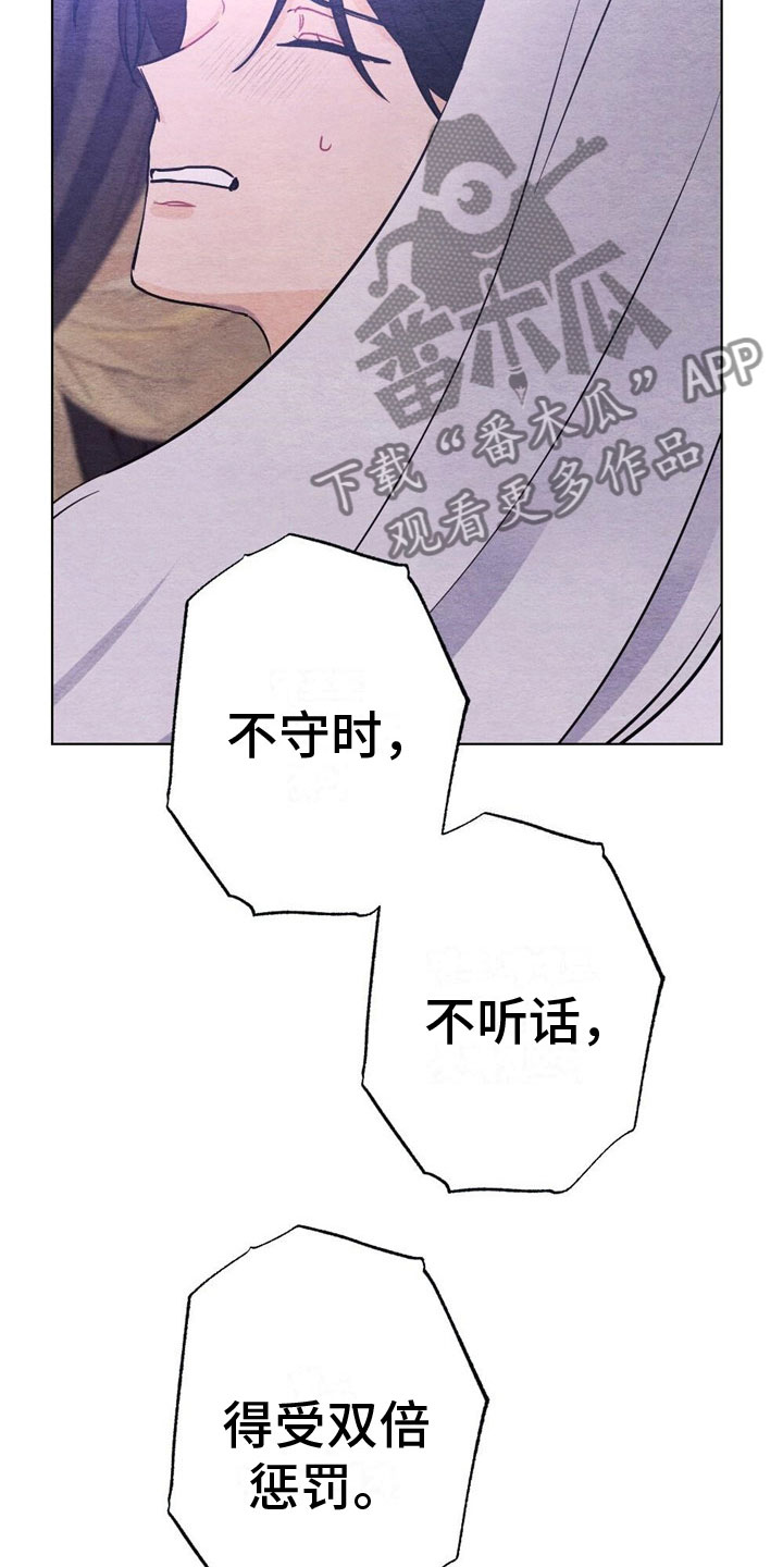 第17章：惩罚16