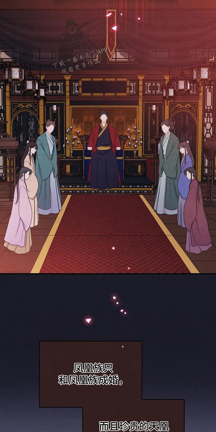 第75章：礼物14