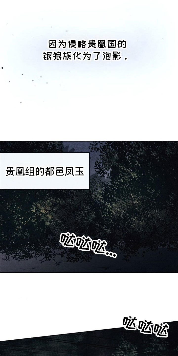 第3章：银狼族10