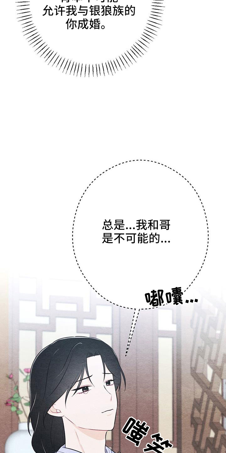 第52章：无法实现的梦26