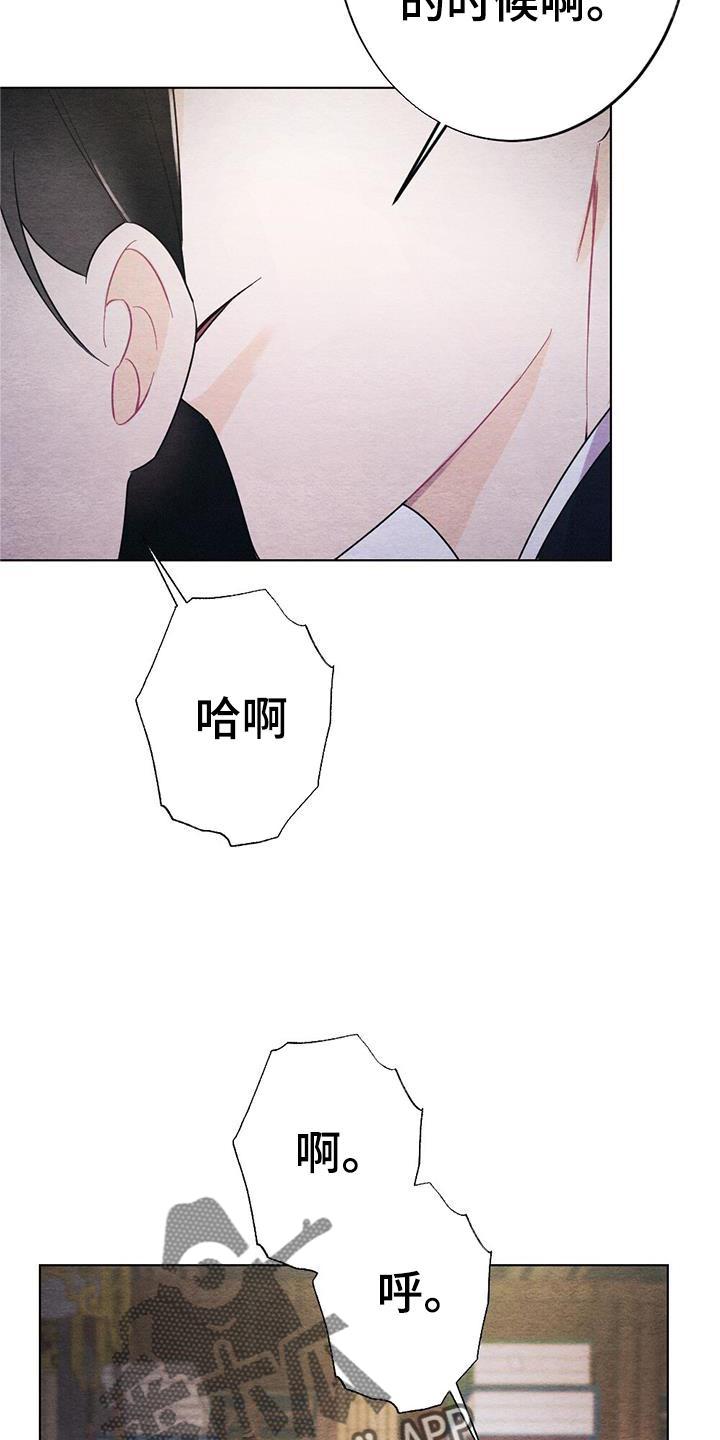 第28章：时机15