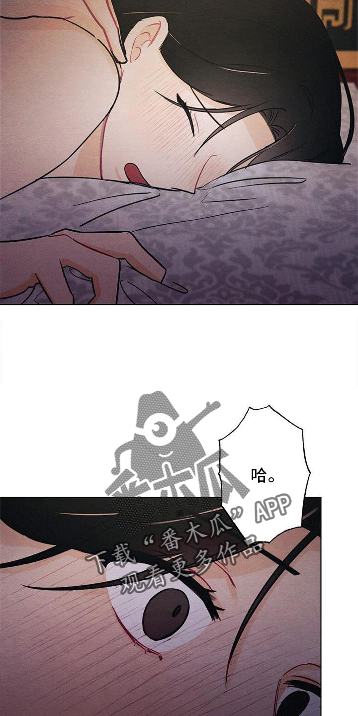 第31章：感觉17
