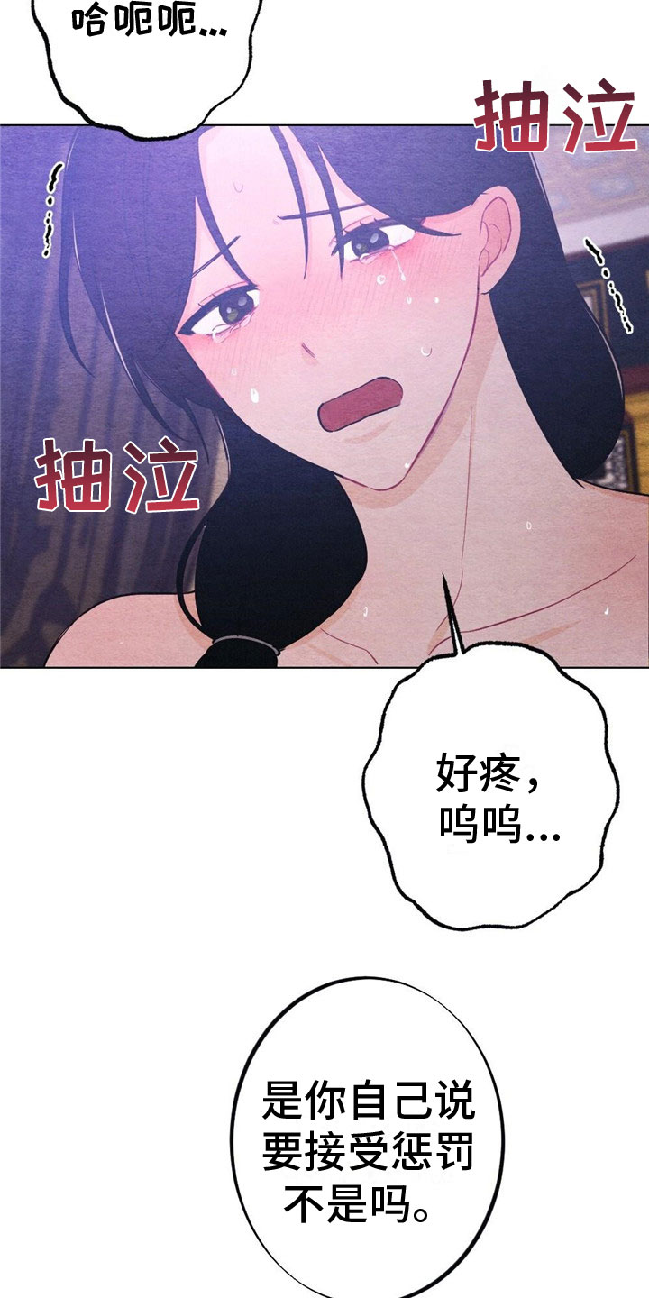 第17章：惩罚21