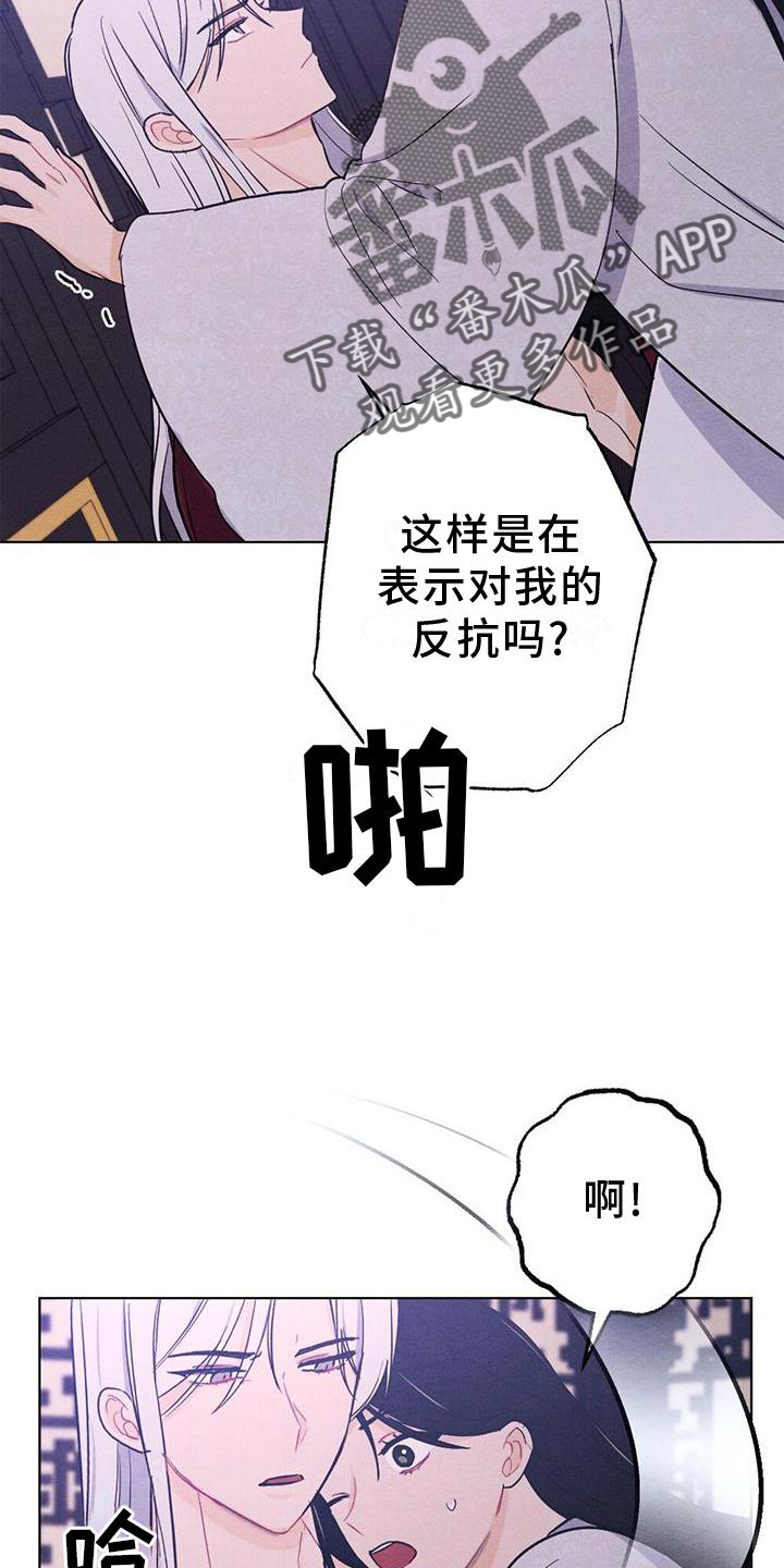 第19章：命令21
