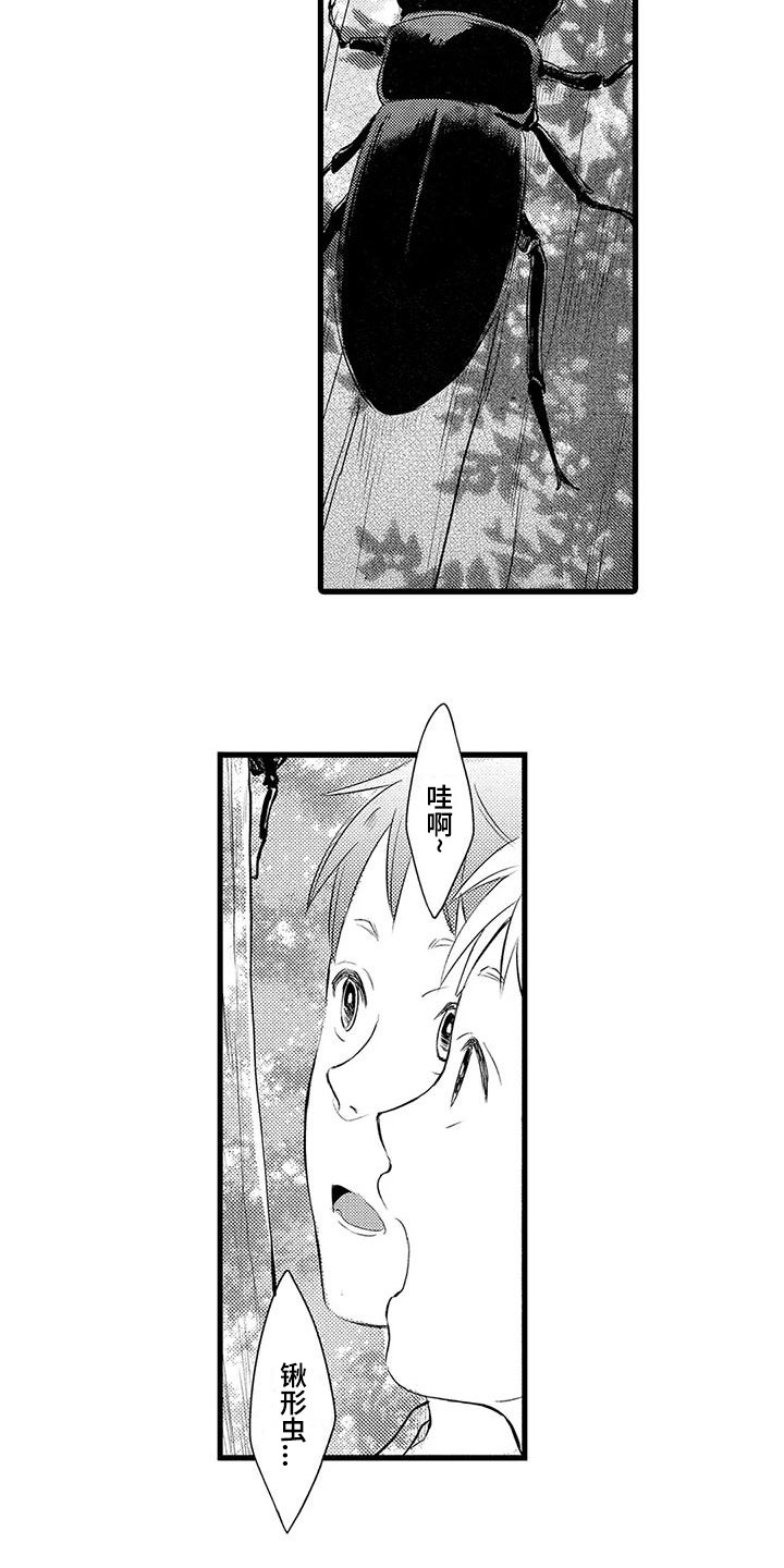 第2章：决定12