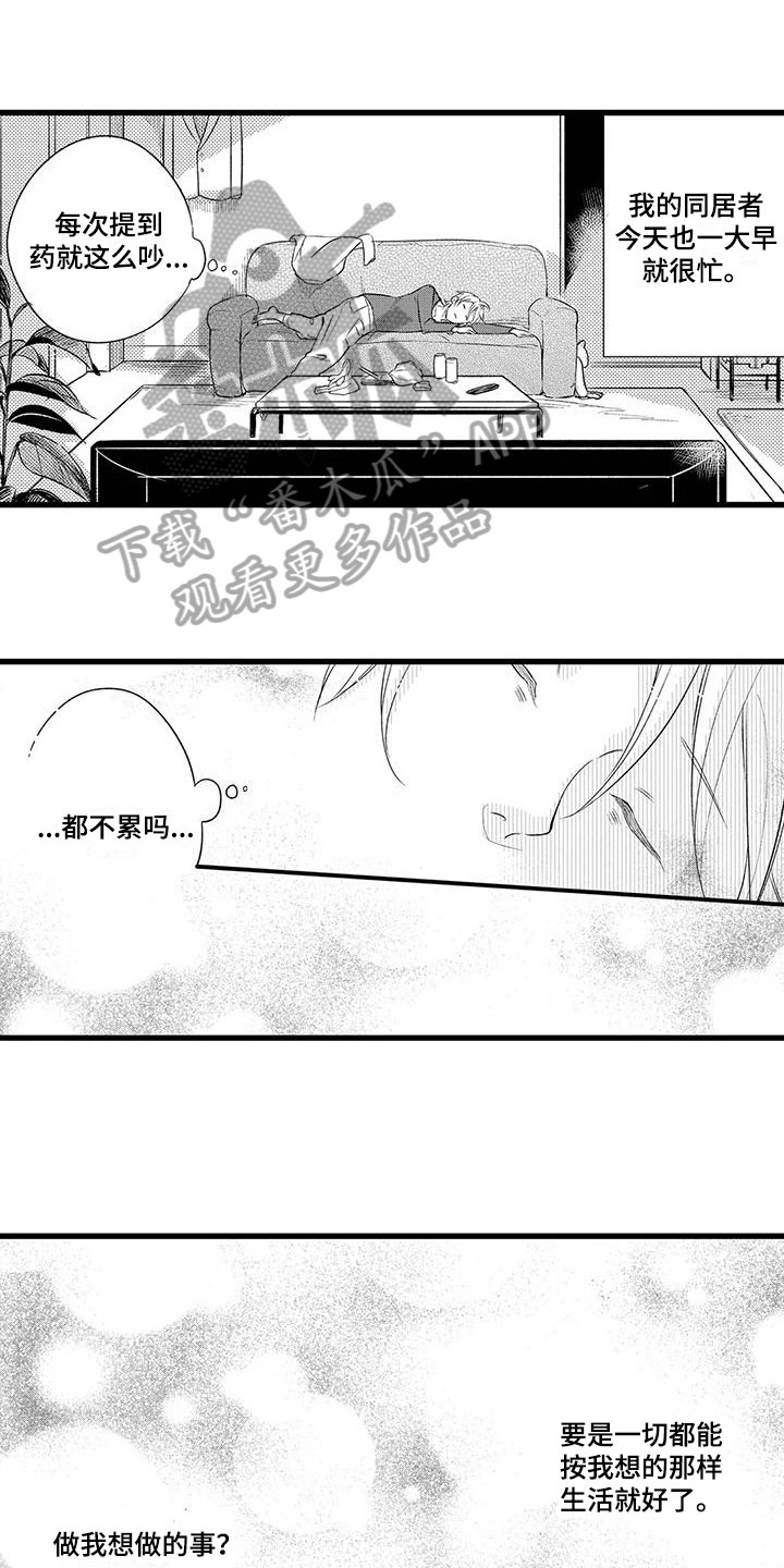 第17章：迷茫0