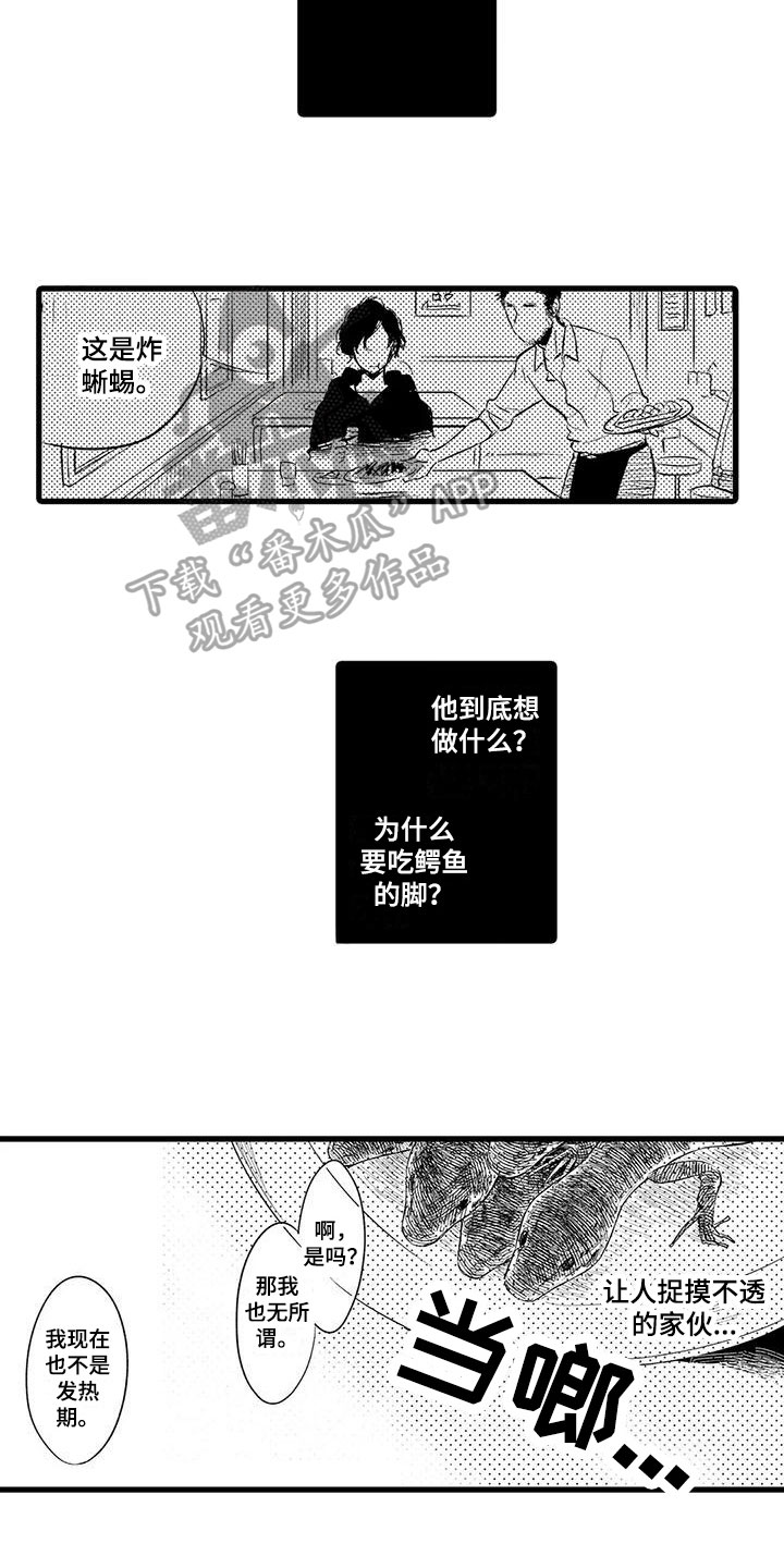 第21章：很像6