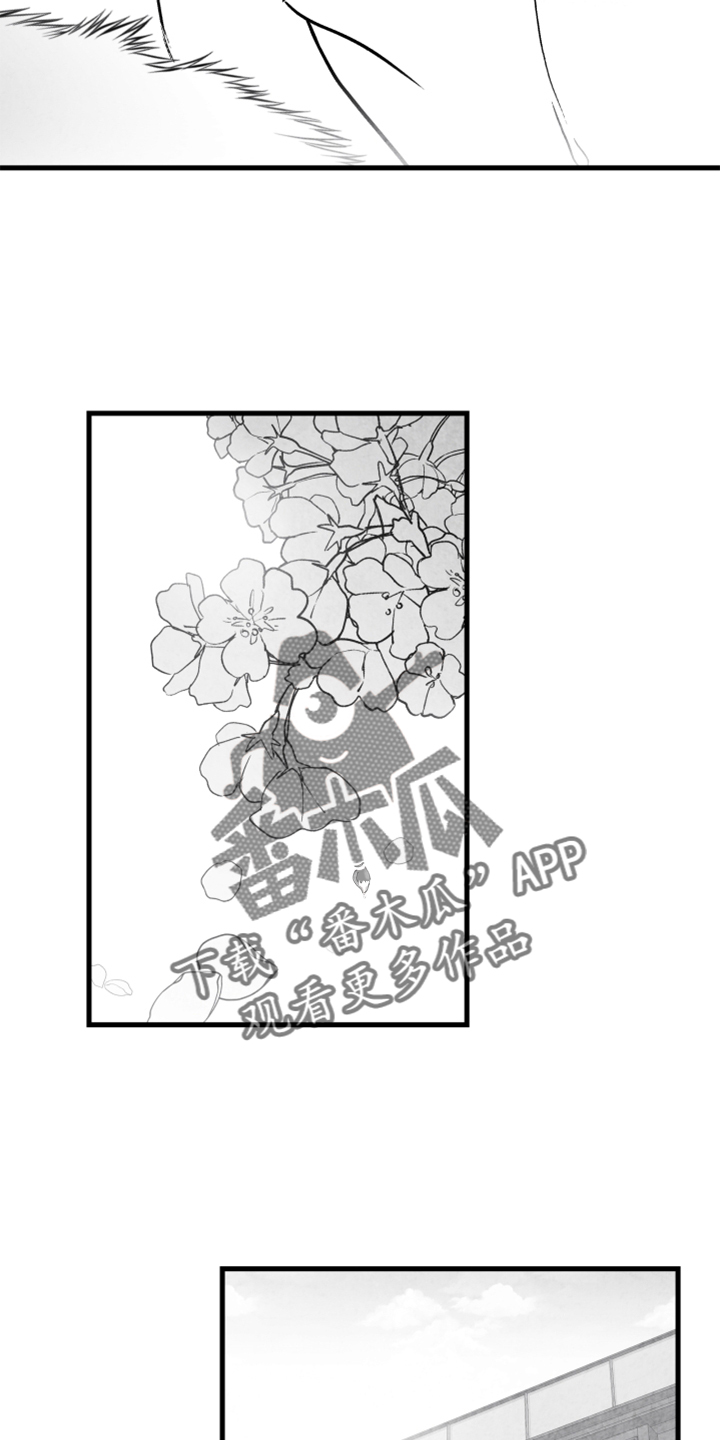 第138章：【第二季完结】我爱你20