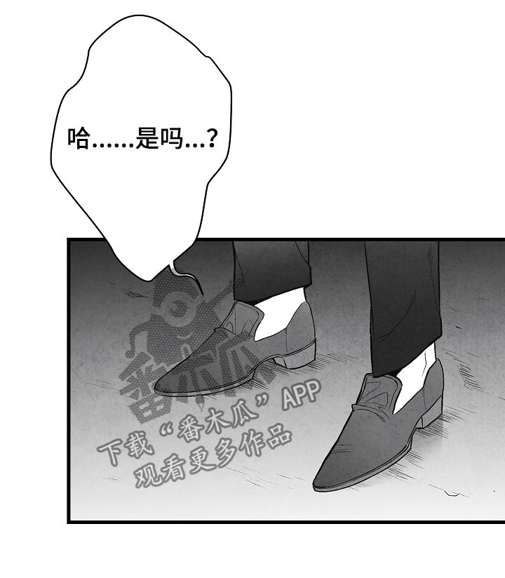 第34章：表白8