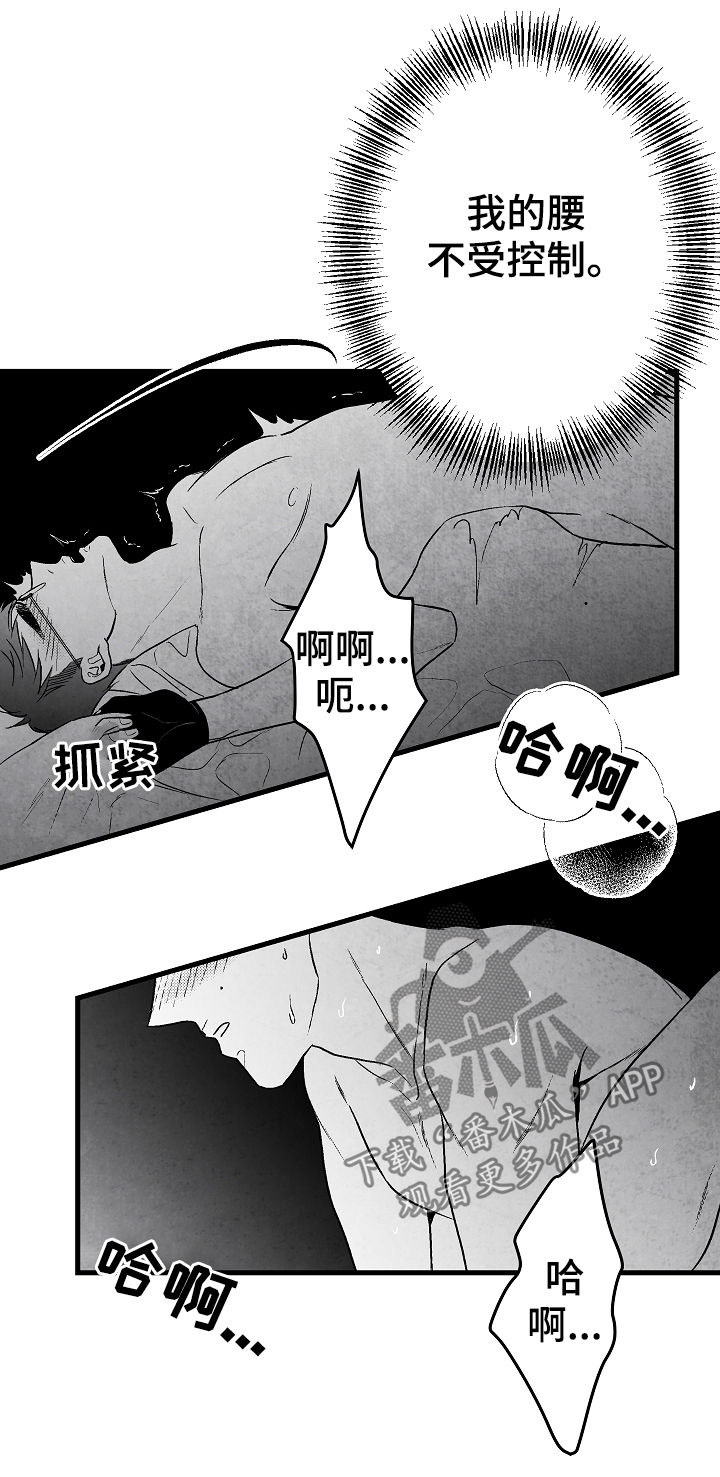 第47章：疯狂20