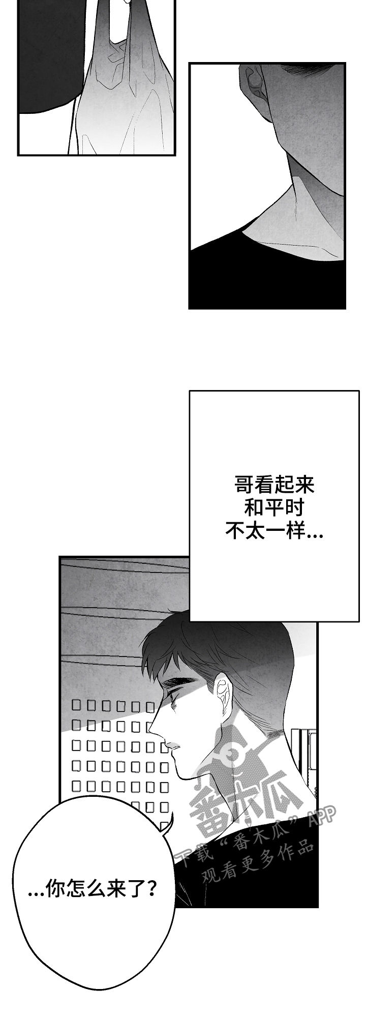 第41章：客人12