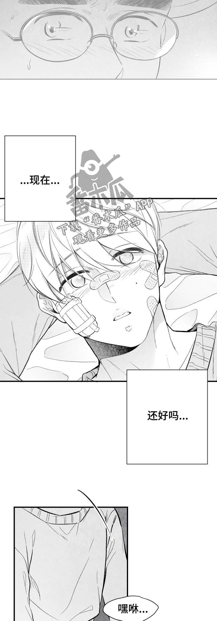 第24章：期待10