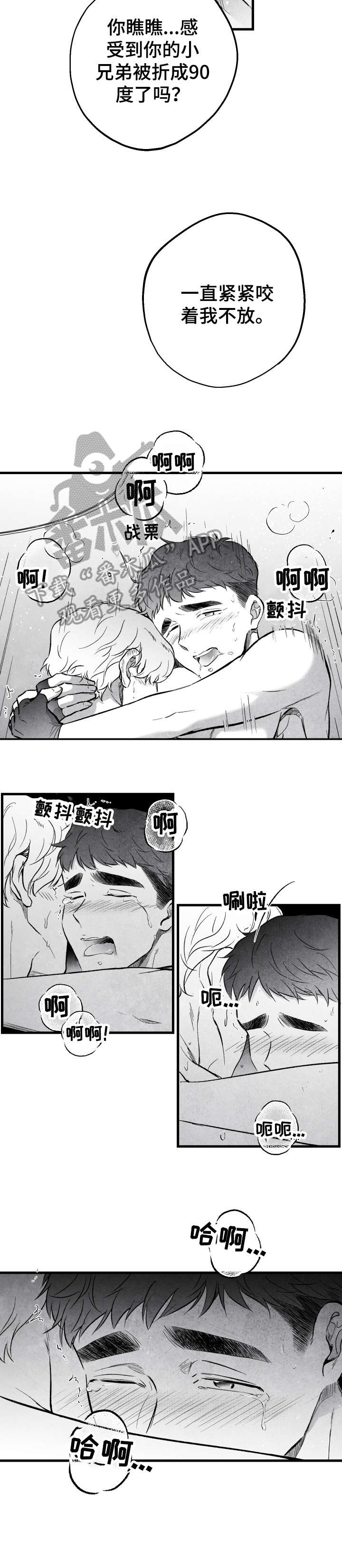 第17章：钱包4