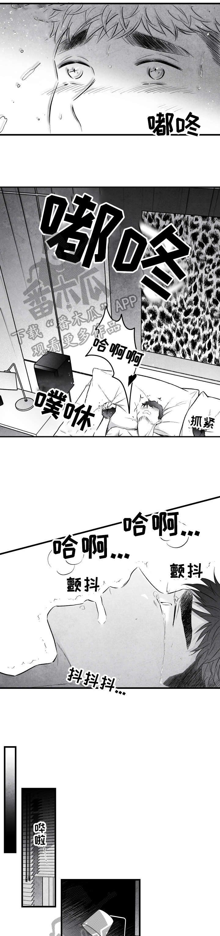 第17章：钱包6