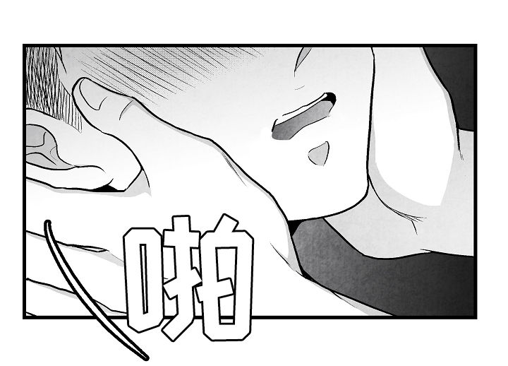 第47章：疯狂11