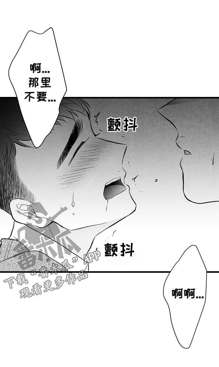 第38章：惩罚15