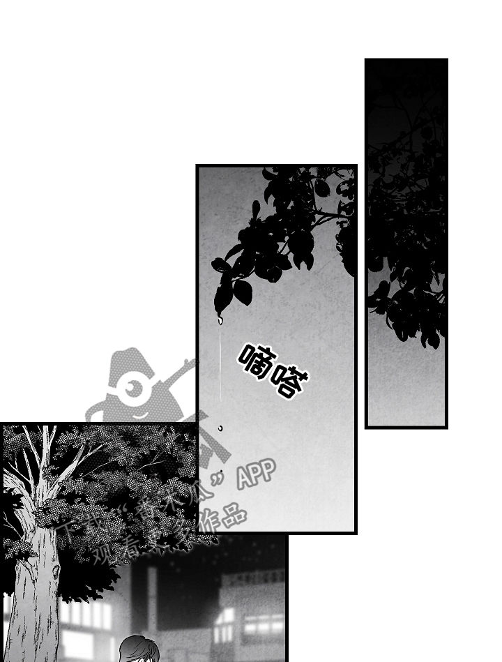 第50章：准备好退出13