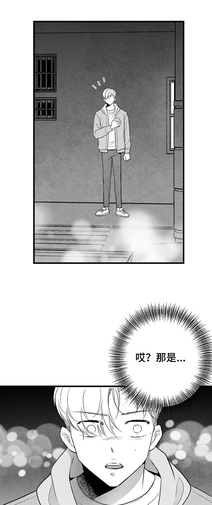 第33章：选择13