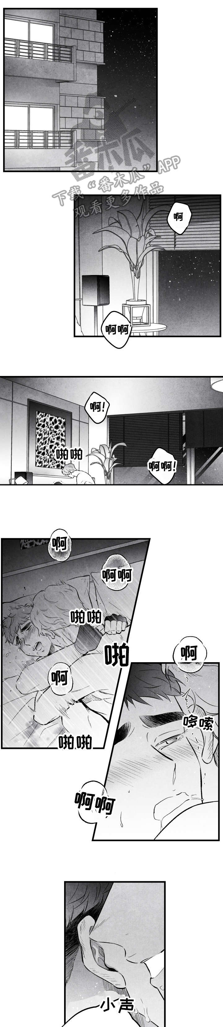 第17章：钱包3