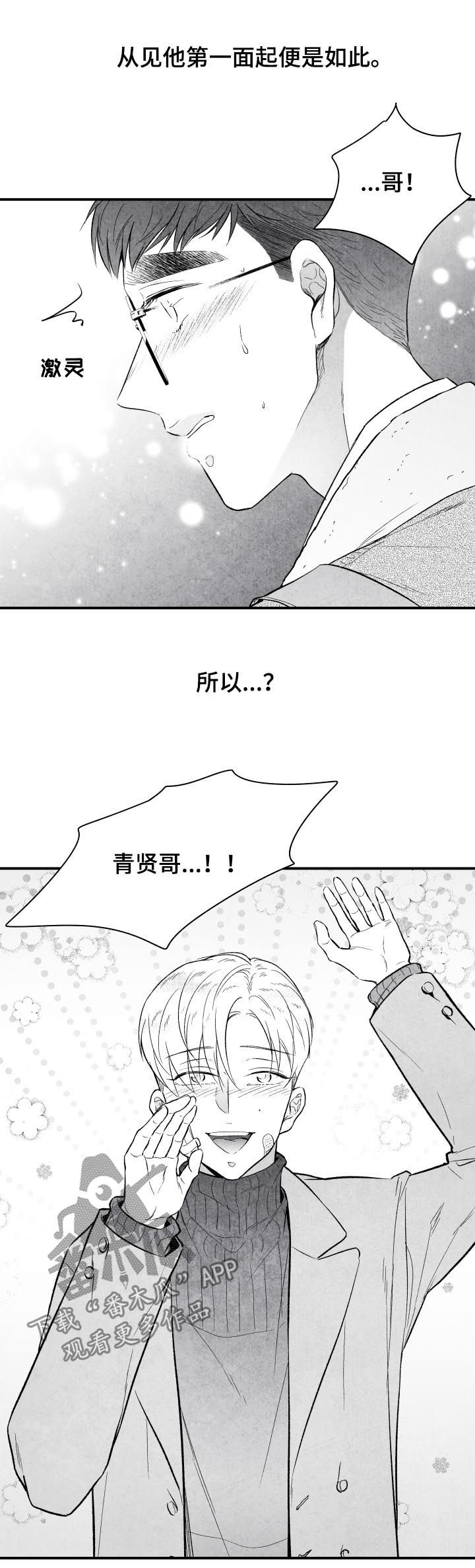 第29章：开心11