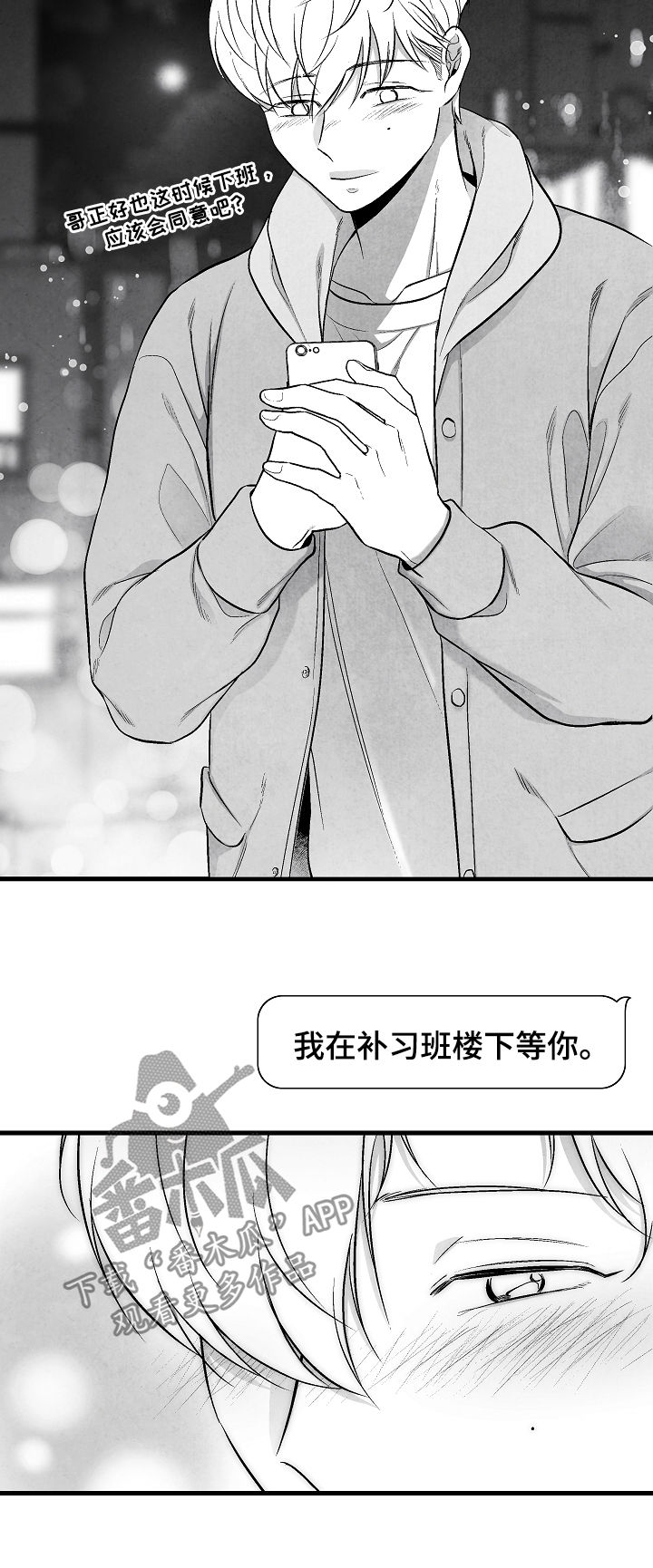 第33章：选择12