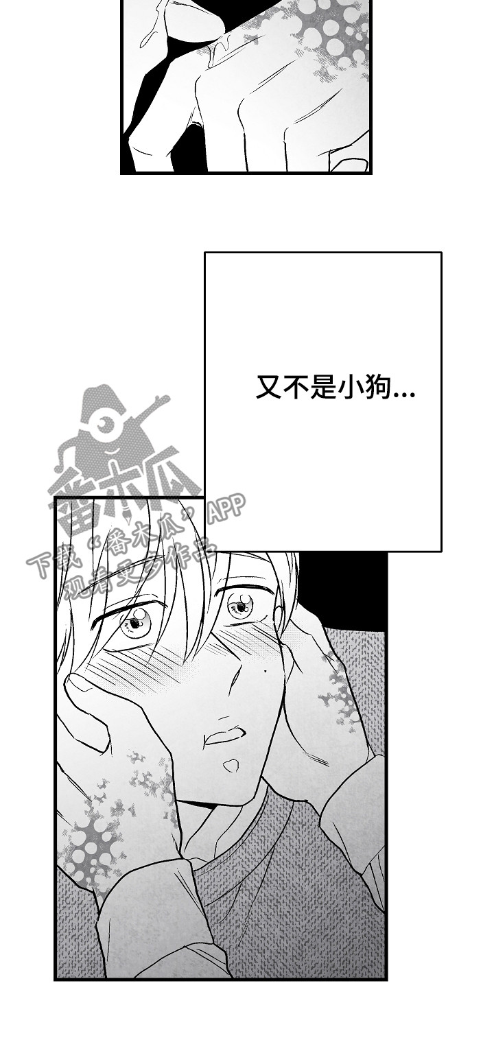 第54章：怎么办3