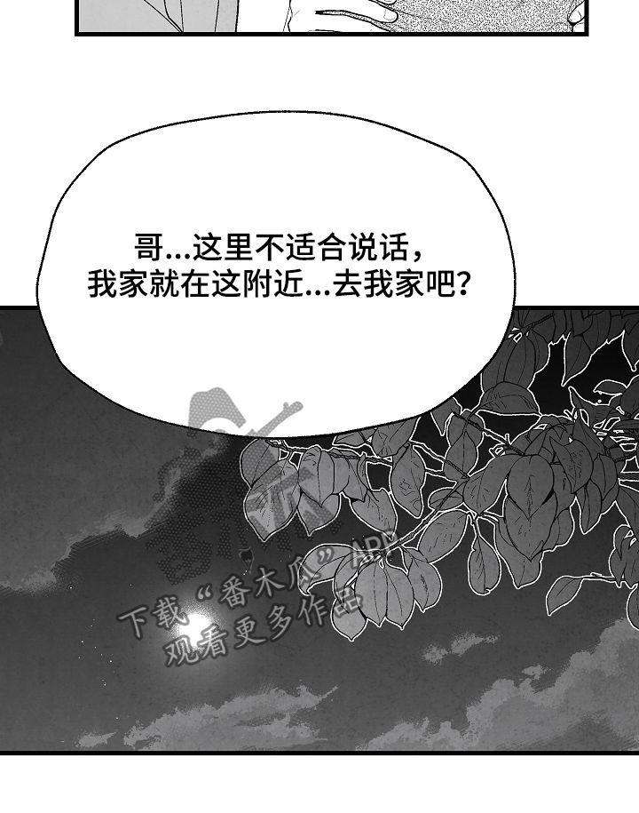 第34章：表白17