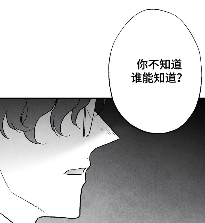 第80章：【第二季】踪影0
