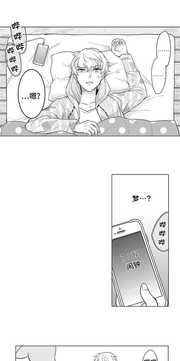 第11章：无法答复13