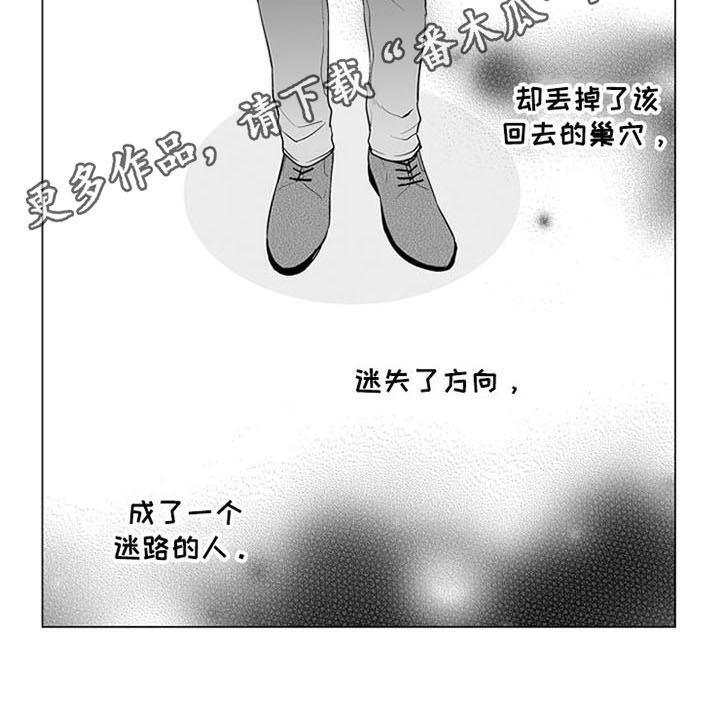 第13章：逃离15