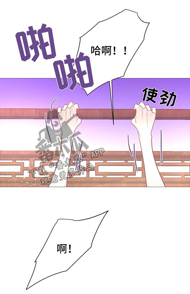 第15章：满足我17
