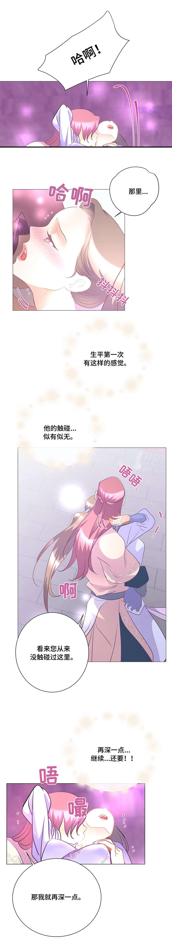 第10章：二公主0