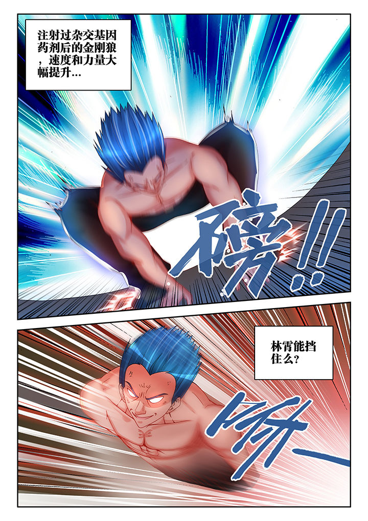 第46章：3