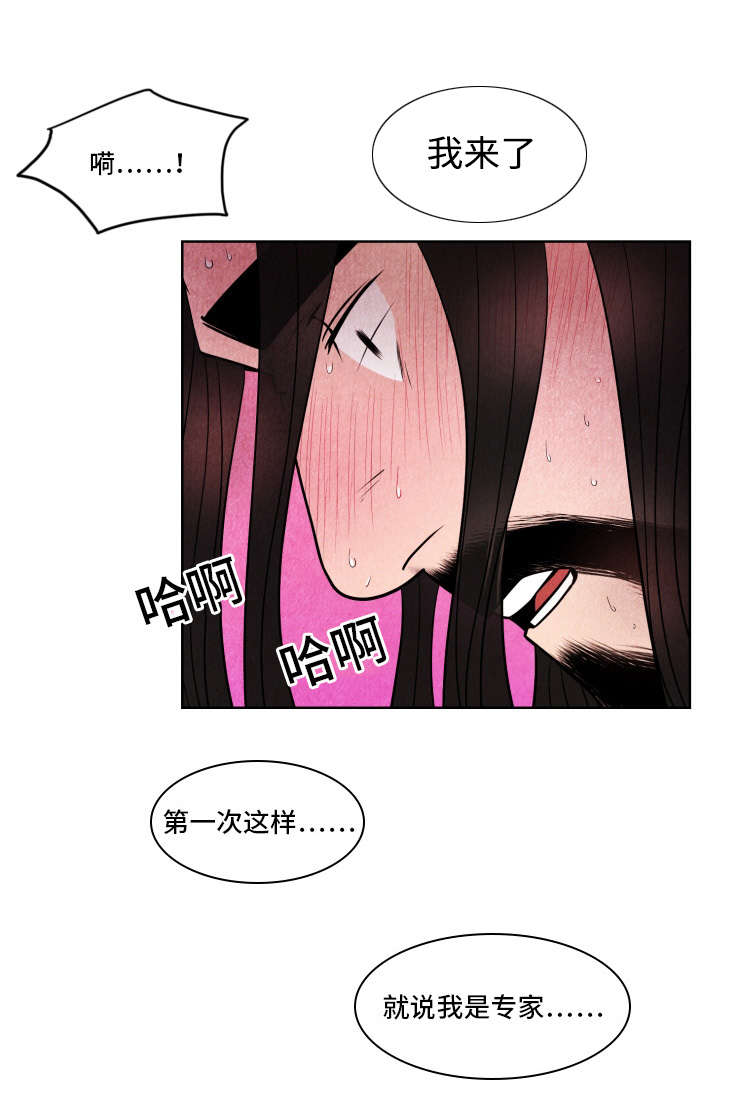 第29章：幻象3