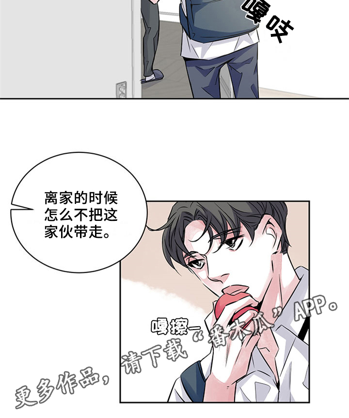 第37章：矛盾15
