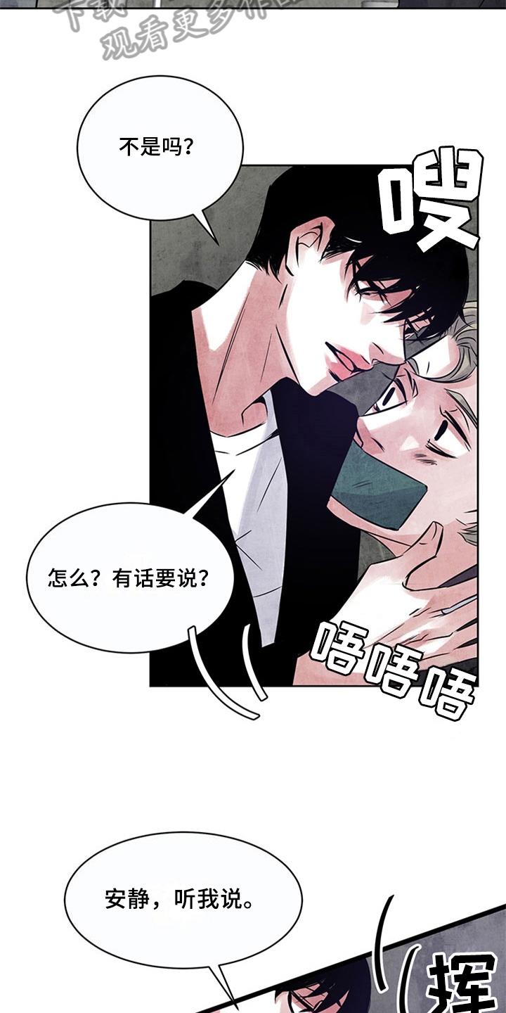 第29章：证据12