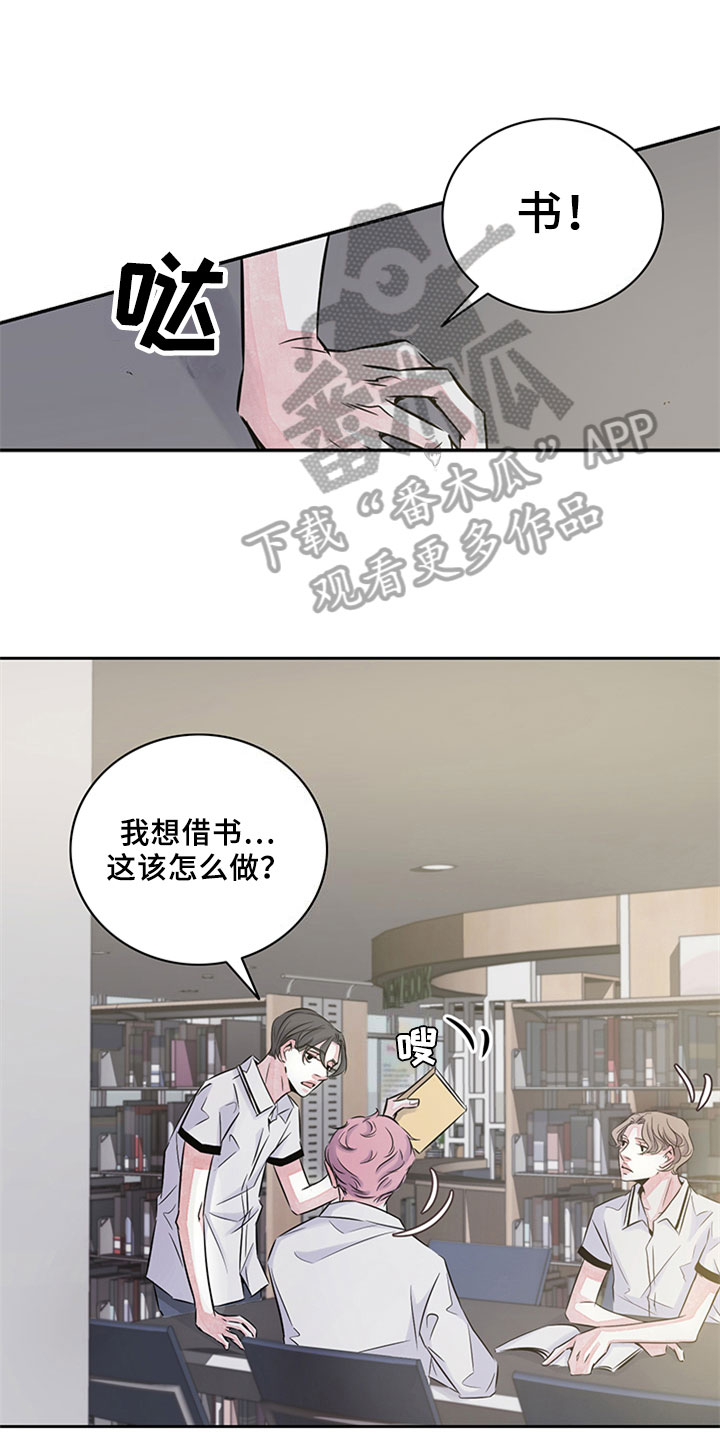第12章：写作交流5