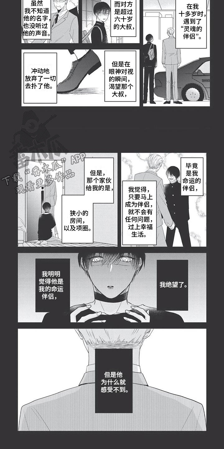 第9章：过去3