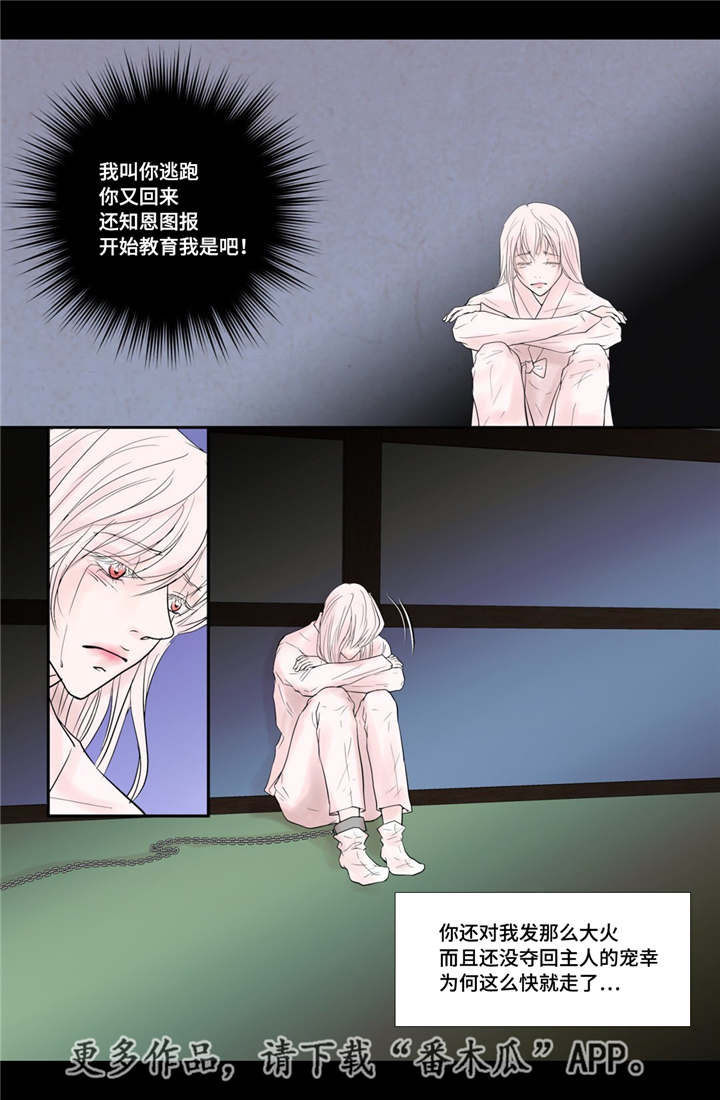 第38章：天真的人3