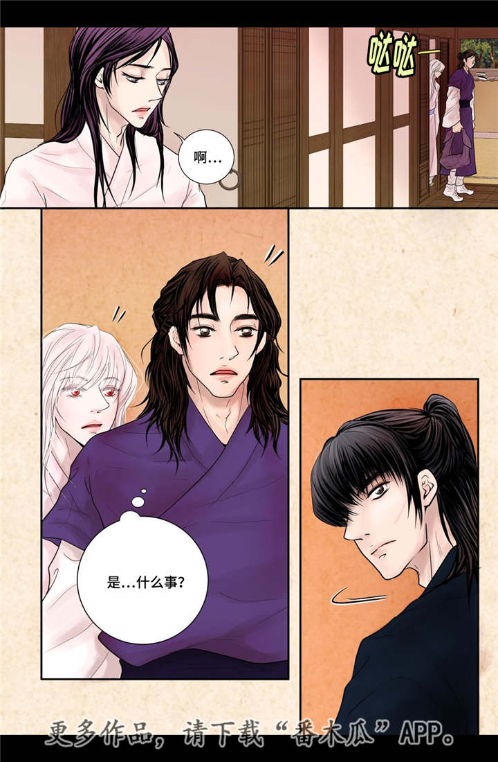 第11章：比较奇特13
