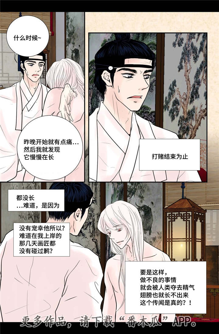 第38章：天真的人12
