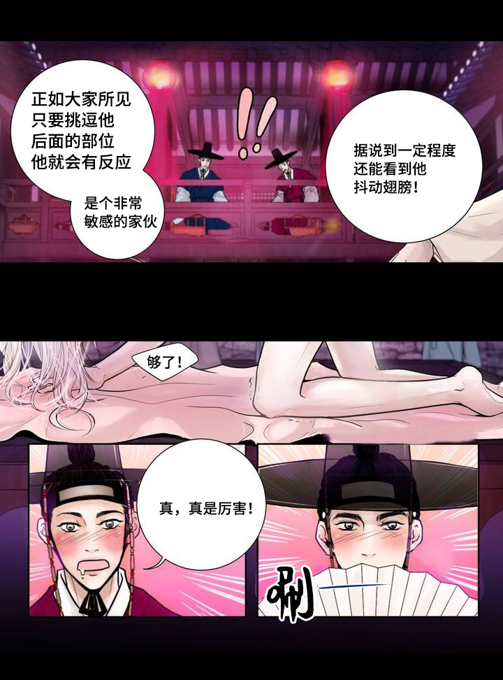 第2章：竞拍成功9