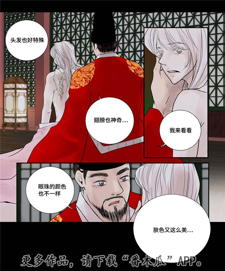 第51章：他的眼光11