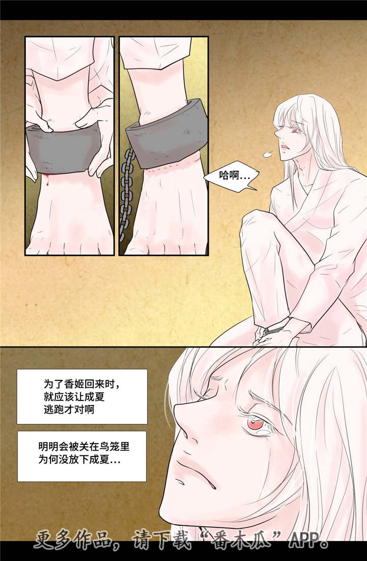 第40章：逃脱不掉4