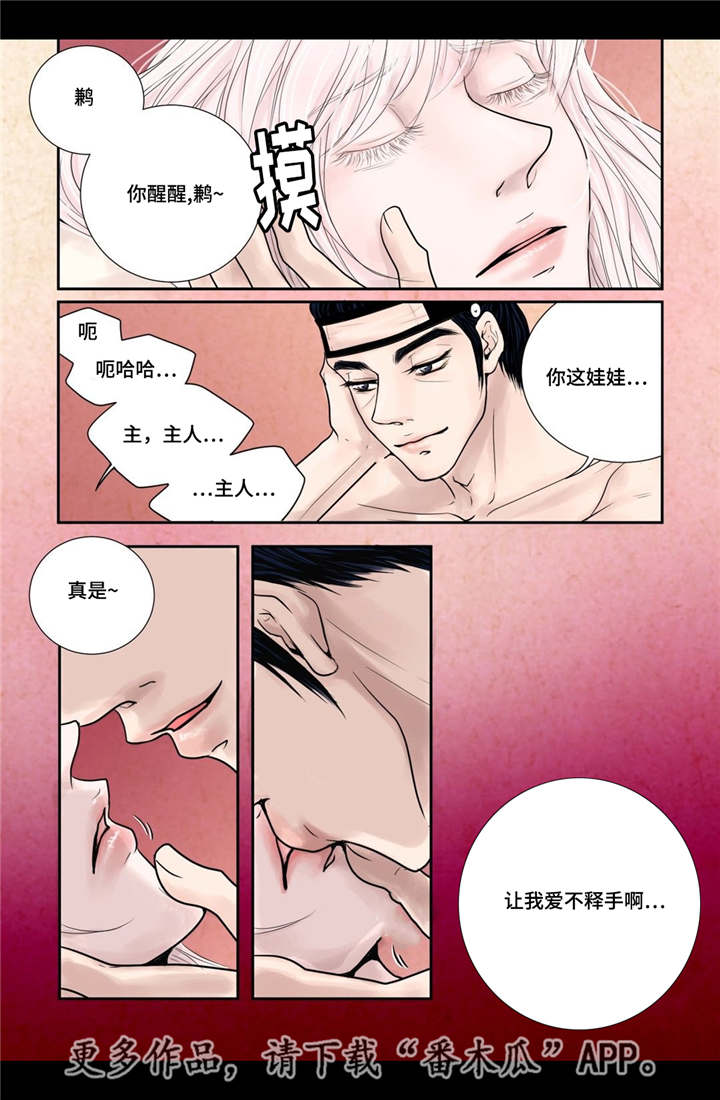 第14章：美丽动人9