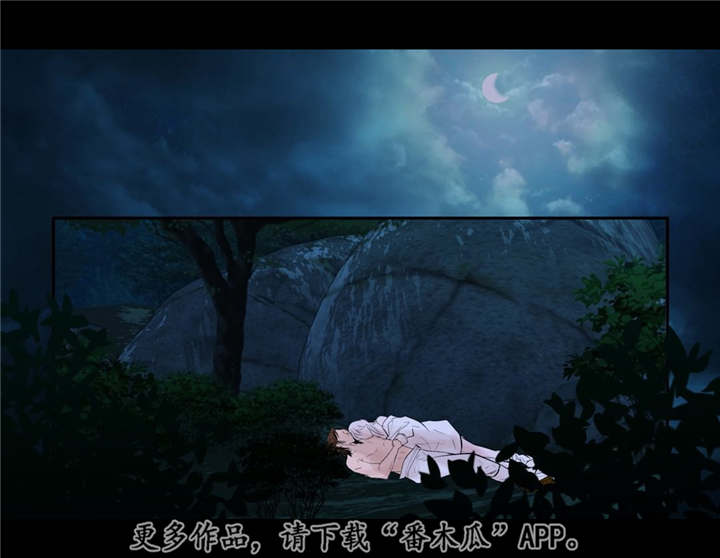 第47章：我的愿望6